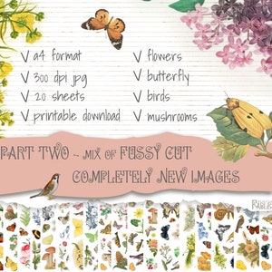 Deel TWEE Kieskeurige knipafbeeldingen: vogels, vlinders, bloemen, paddenstoelen. Voor het decoreren van junkjournal, bulletjournal, art journal Afdrukbaar