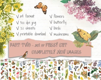 Part TWO Fussy Cutting Images: birds, butterflies, flowers, mushrooms. For decorating junk journal, bullet journal, art journal Printable