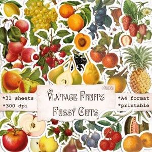 Vintage fruit kieskeurig snijdt afbeeldingen, voedsel ephemera voor scrapbook, junk journal, natuur afdrukbare download, botanische, tuincollage
