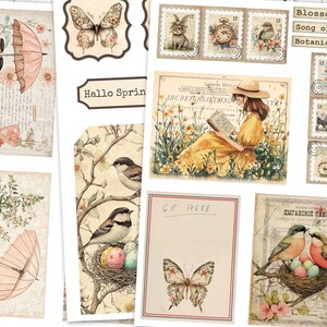 Puede incluir: Una colecci&oacute;n de papel digital de estilo vintage con im&aacute;genes de p&aacute;jaros, mariposas, flores y texto. El papel es perfecto para scrapbooking, creaci&oacute;n de tarjetas y otras manualidades de papel.