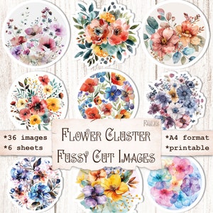 Bloemencluster Kieskeurig Gesneden Afbeeldingen, Aquarel Natuur Efemere, Dagboeken Versieren, Collage Elementen, Scrapbooking, Papierkunst, Junk Journal
