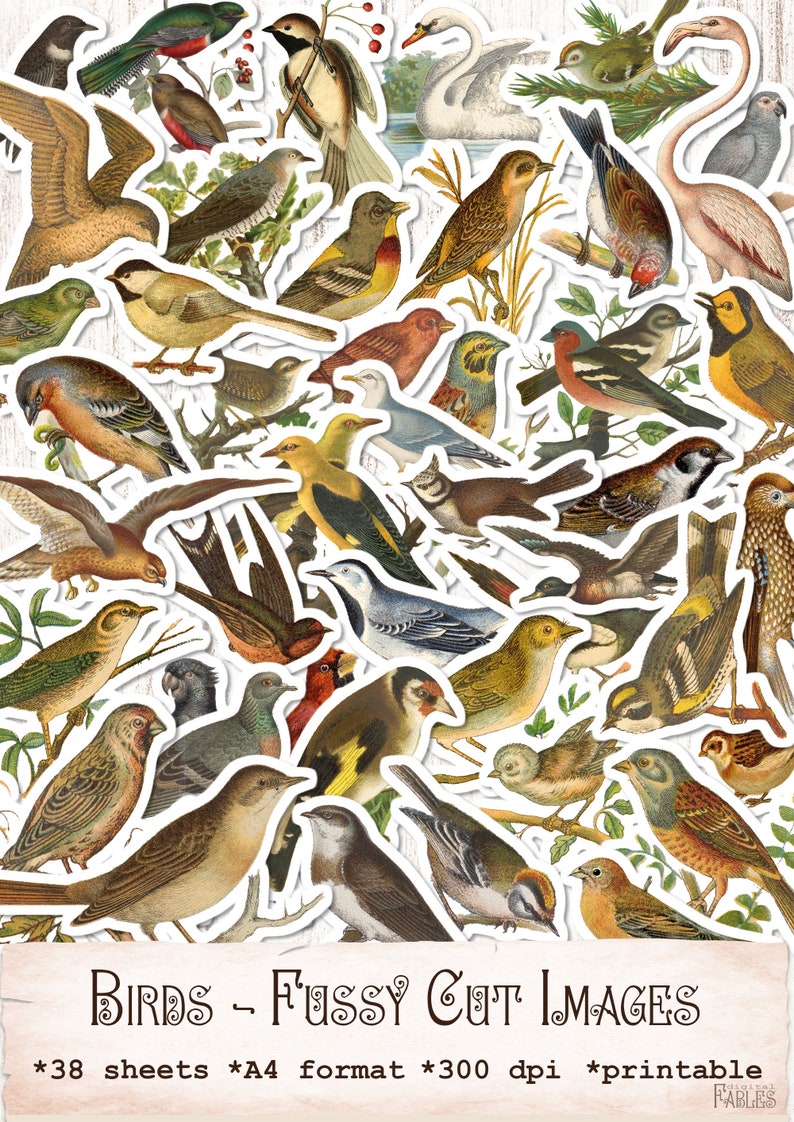 Variety Pack Of 50 Fussy Cut Images - Perfect For Junk Journals, Collage & Mixed Media Art