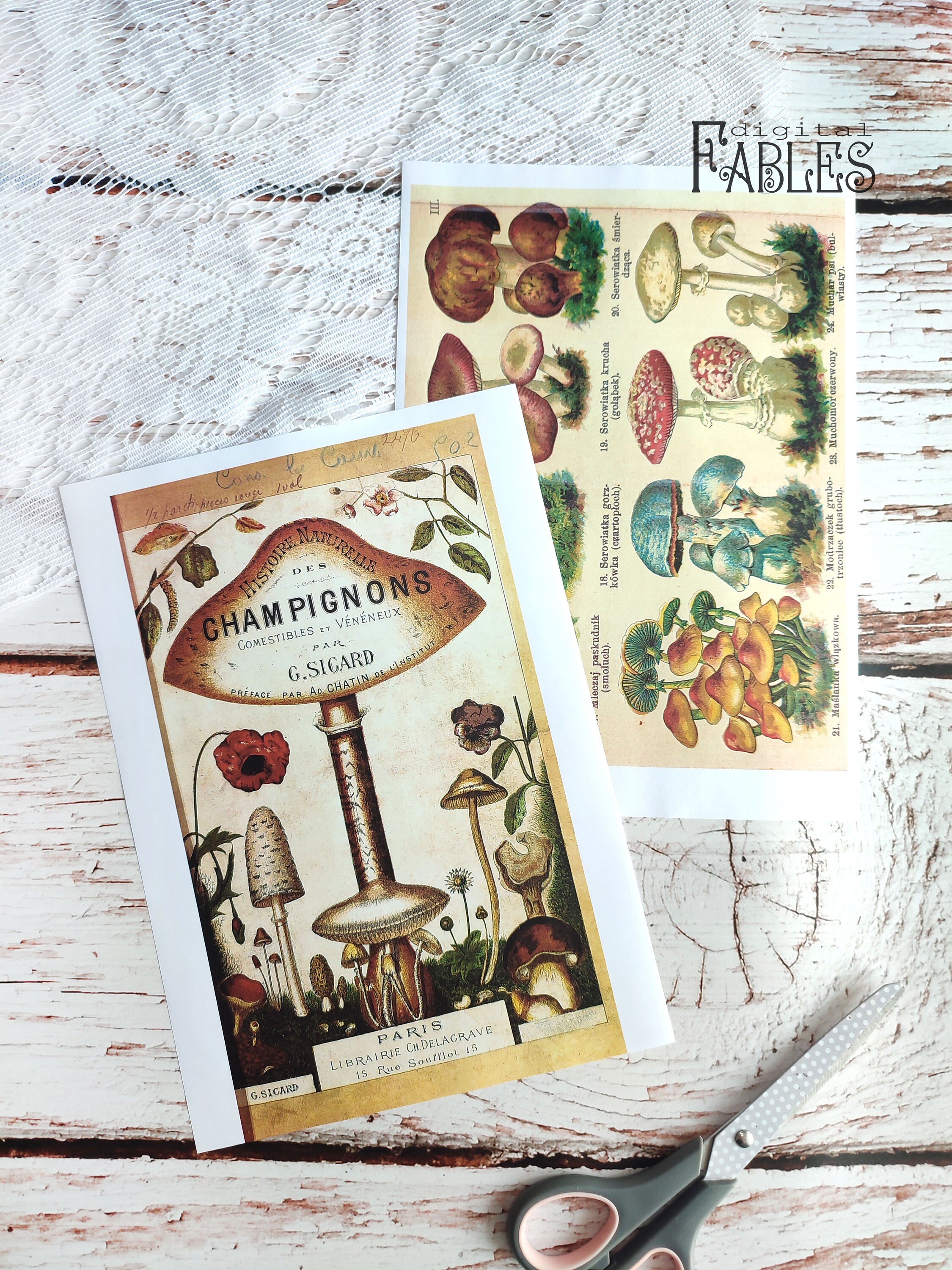 Mushrooms Vintage Book Pages, Printable Vintage Nature Ephemera, Junk