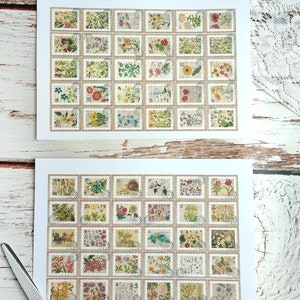 Puede incluir: Dos hojas de impresiones de sellos postales florales. Cada impresi&oacute;n presenta una cuadr&iacute;cula de sellos de estilo vintage con varias ilustraciones de flores coloridas. Los sellos tienen un borde color crema y est&aacute;n dispuestos sobre un fondo blanco. Las tijeras son visibles en la esquina inferior izquierda.
