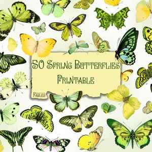 May include: A digital printable sheet with 50 colorful butterfly illustrations. The butterflies are in various shades of green, yellow, and blue. The text "50 Spring Butterflies Printable" is in the center of the sheet.