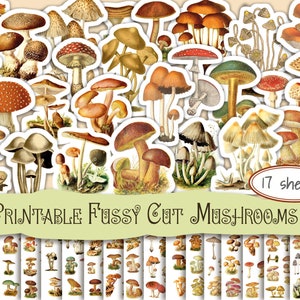 Imágenes de hongos cortados con precisión, efímeras vintage de la naturaleza, descargas imprimibles, diarios de decoración, elementos de collage, álbumes de recortes, manualidades con papel