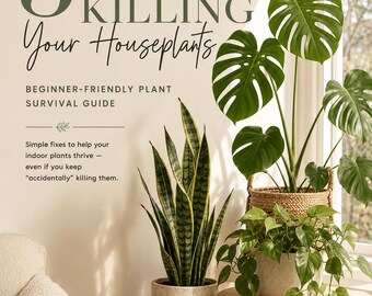 5 Mistakes Killing Your Houseplants (And How Beginners Can Fix Them)