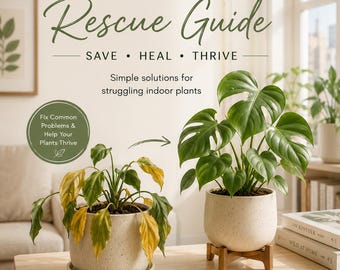 Indoor Plant Emergency Kit