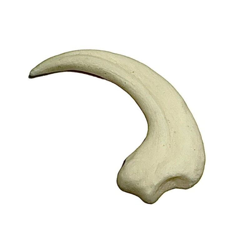 Velociraptor Sickle Claw Fossil Replica - Etsy Ireland