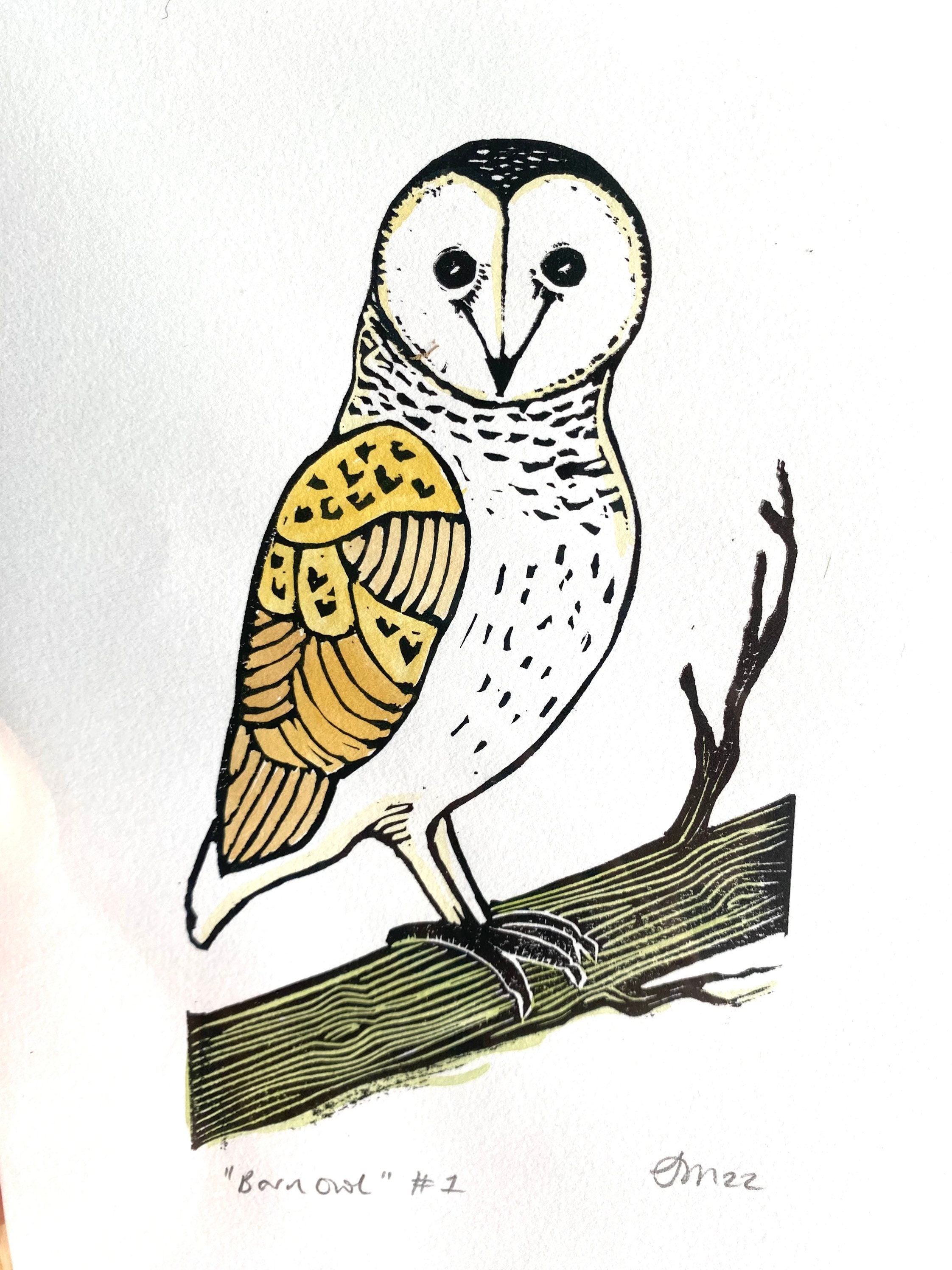 Barn owl