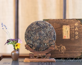 Aged White Tea Cake – 2009 Bai Mudan from FuDing