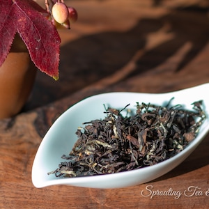 Eastern/Oriental Beauty Taiwanese Premium Oolong Tea - Dong Fang Mei Ren- Great holiday gift