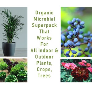 May include: A collage of images showcasing the benefits of an organic microbial superpack for indoor and outdoor plants, crops, and trees. The images include a potted palm tree, a variety of leafy green vegetables, a cluster of blue berries, and a red zinnia flower.