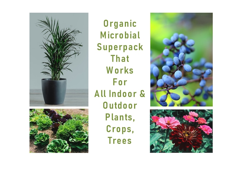 May include: A collage of images showcasing the benefits of an organic microbial superpack for indoor and outdoor plants, crops, and trees. The images include a potted palm tree, a variety of leafy green vegetables, a cluster of blue berries, and a red zinnia flower.
