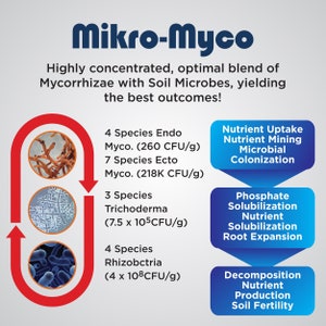 May include: Diagram illustrating the benefits of Mikro-Myco, a blend of mycorrhizae and soil microbes. It shows four species of Endo Myco. (260 CFU/g), seven species of Ecto Myco. (218K CFU/g), three species of Trichoderma (7.5 x 10^5 CFU/g), and four species of Rhizobctria (4 x 10^8 CFU/g). The benefits include nutrient uptake, nutrient mining, microbial colonization, phosphate solubilization, nutrient solubilization, root expansion, decomposition, nutrient production, and soil fertility.