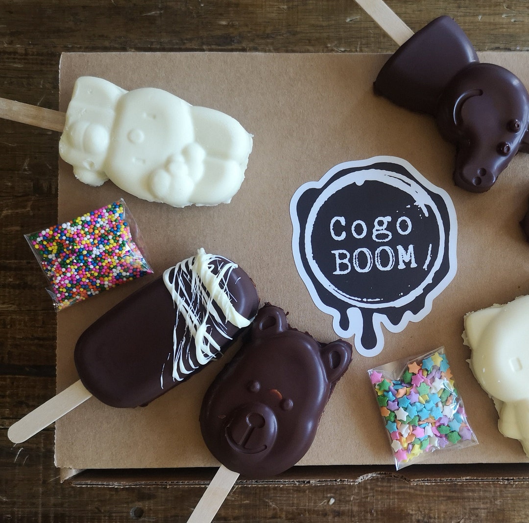 DIY Cakesicle Kit Gift Easy Baking Decorating Chocolate Fun Etsy