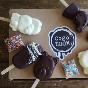 DIY Cakesicle Kit Geschenk Einfach Backen Dekorieren Schokolade Spaß