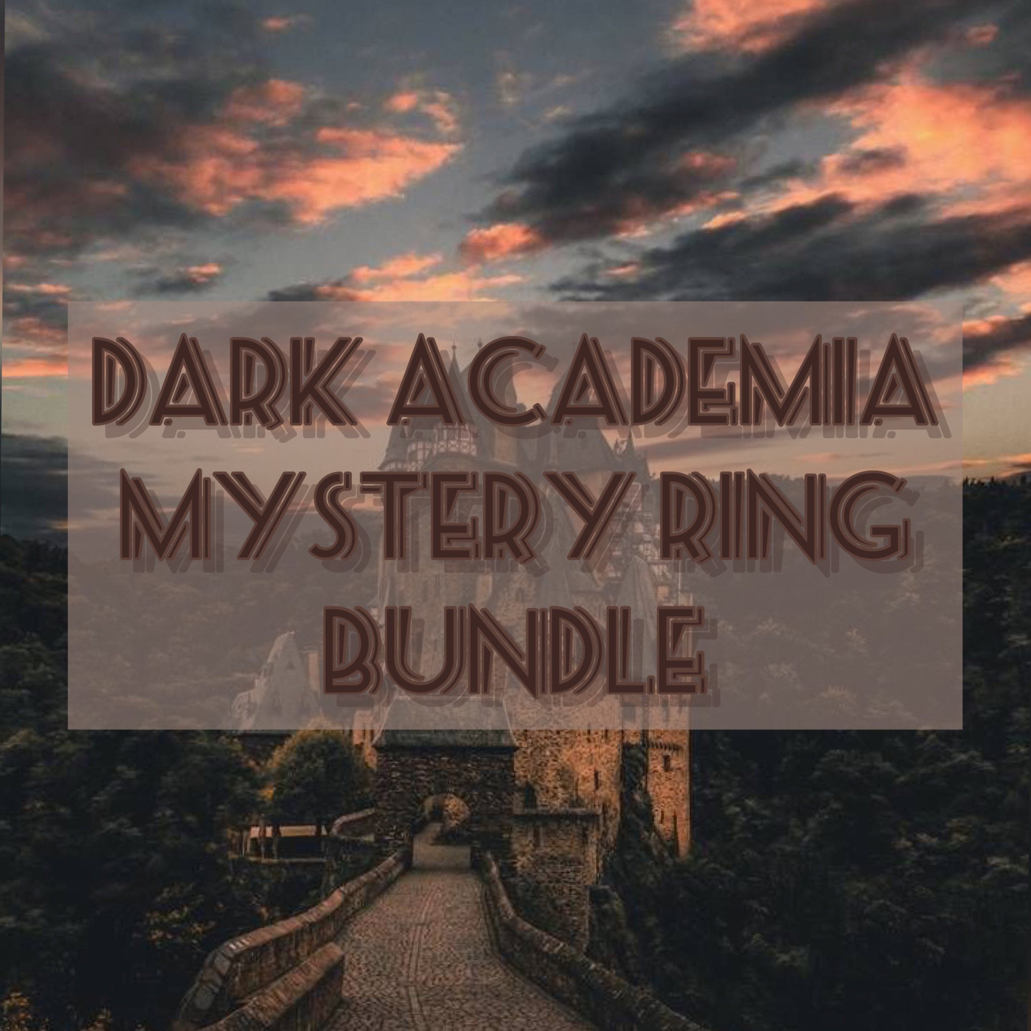 Dark Academia Mystery Thrifted Clothing Bundle