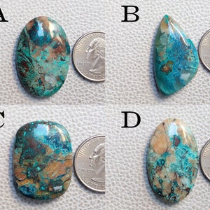 K&ouml;nnte beinhalten: Vier t&uuml;rkisfarbene Cabochons, jeder mit einem einzigartigen Muster aus Braun und Gr&uuml;n, werden neben einem US-amerikanischen Viertel f&uuml;r den Gr&ouml;&szlig;envergleich angezeigt. Die Cabochons sind oval und tropfenf&ouml;rmig.