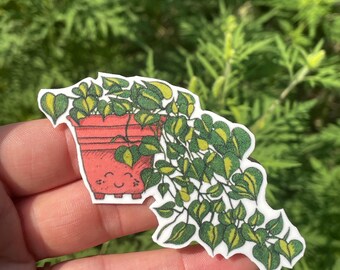 Plant Sticker Brazil Philodendron
