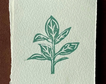 Ficus Plant mini linocut print 3x4"- Original Hand-Carved Linoprint
