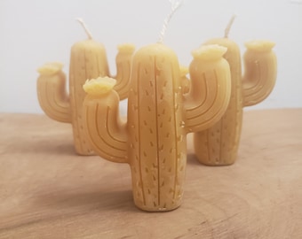 Beeswax cactus candles