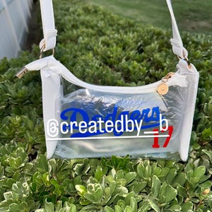 Bolsas transparentes aprobadas por el estadio de béisbol