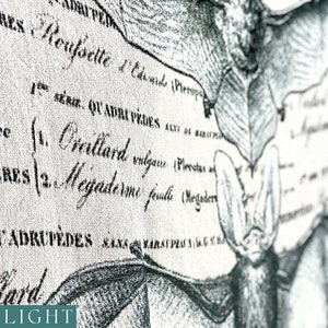 May include: A close-up of a vintage illustration of a bat with text in Latin. The text reads "1. Chiroptera" and "2. Megaderma." The image is printed on a textured fabric with a light gray background.