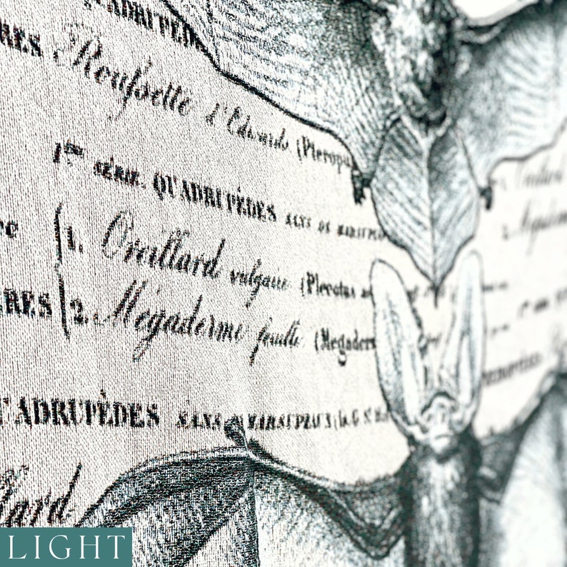 May include: A close-up of a vintage illustration of a bat with text in Latin. The text reads "1. Chiroptera" and "2. Megaderma." The image is printed on a textured fabric with a light gray background.