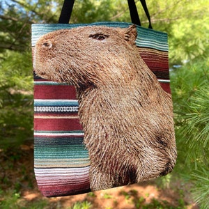 This Capybara woven tapestry bag with a vintage Mexican blanket aesthetic is the perfect gift for capybara, granola girl aesthetic or hippie tote bag lovers in your life.