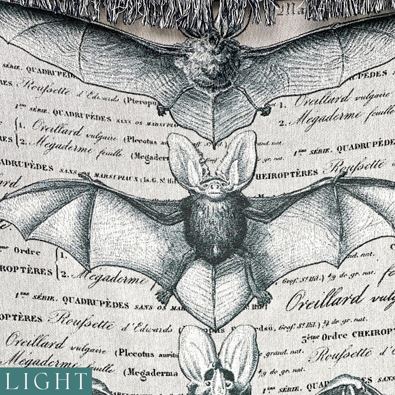 May include: A vintage illustration of a bat with the text "Megaderme" and "Oreillard" in French. The illustration is in black and white and has a textured background.
