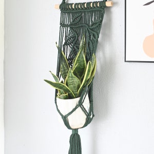 Puede incluir: Un macetero de macramé verde oscuro con una barra de madera y un borla. Una planta serpiente en maceta está colgando en el macramé.