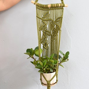 Pode incluir: Um suporte de plantas de macramé verde com uma vareta de madeira na parte superior e uma borla na parte inferior. Uma pequena planta em vaso está pendurada no macramé.