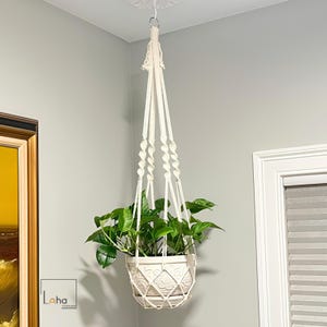May include: A cream-coloured macrame plant hanger featuring twisted cord sections and a knotted net base, holding a white ceramic pot with a subtle embossed floral pattern and a lush green pothos plant with heart-shaped leaves.