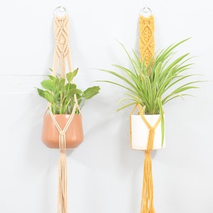 Plant Wall Hanging, Mustard Macrame Plant Hanger, Spring Plant Hanging, Neutral Plant Hangers, Plant Hanger Diamond Pattern, Gift For Mom HM