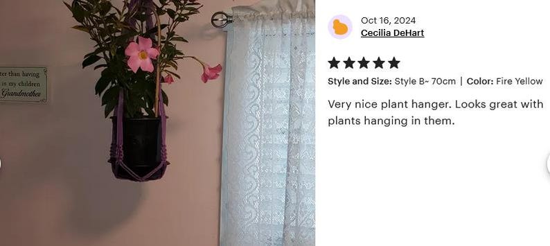 Modern Macrame Plant Hanger: Colorful Indoor Home Decor, Ivy Tree Pot Holder, Tropical Plant Pot Holder, Home Indoor Garden, Birthday Gift image 13