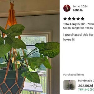 Minimalist Macrame Plant Hanger: Boho Hanging Planter, No Tassel, Macrame Plant Pot Holder Without Tail, Simple Minimalist Boho Decor immagine 17