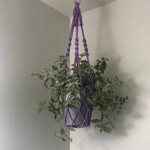Pu&ograve; includere: Un portavasi in macram&egrave; viola con una pianta verde e bianca appesa.