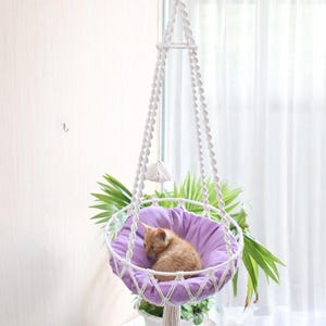 May include: A white macrame cat bed, suspended from a hook, with a lavender cushion and an orange tabby cat inside. The bed is surrounded by green plants. The background includes a white curtain and a white wall.