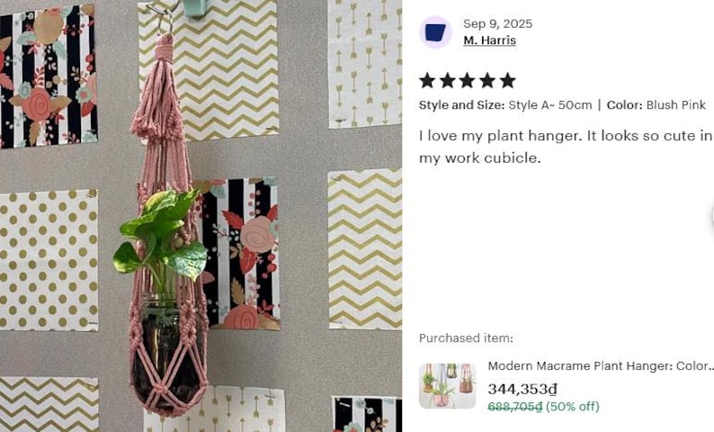 Modern Macrame Plant Hanger: Colorful Indoor Home Decor, Ivy Tree Pot Holder, Tropical Plant Pot Holder, Home Indoor Garden, Birthday Gift image 17