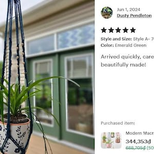 Modern Macrame Plant Hanger: Colorful Indoor Home Decor, Ivy Tree Pot Holder, Tropical Plant Pot Holder, Home Indoor Garden, Birthday Gift image 18