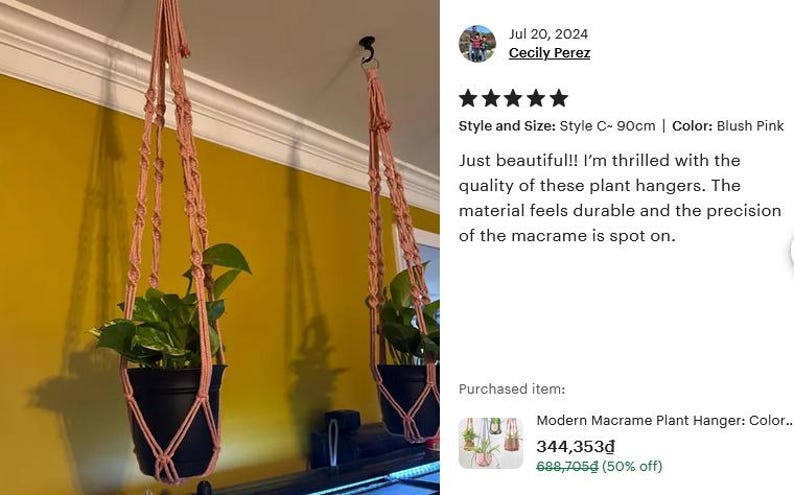 Modern Macrame Plant Hanger: Colorful Indoor Home Decor, Ivy Tree Pot Holder, Tropical Plant Pot Holder, Home Indoor Garden, Birthday Gift image 11