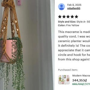 Modern Macrame Plant Hanger: Colorful Indoor Home Decor, Ivy Tree Pot Holder, Tropical Plant Pot Holder, Home Indoor Garden, Birthday Gift image 16