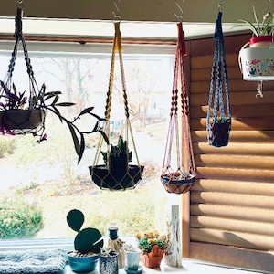 Pu&ograve; includere: Cinque portavasi in macram&egrave; con corde di diversi colori e piante appese. I portavasi sono appesi a ganci sul soffitto. Le piante sono in piccoli vasi e sono tutte di diversi tipi di verde.