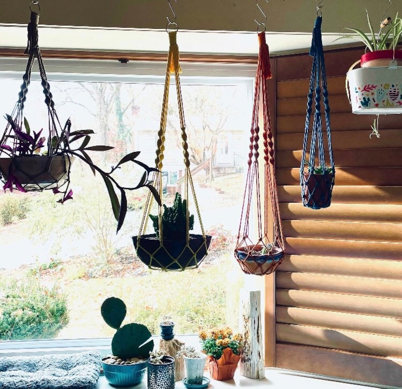 Pu&ograve; includere: Cinque portavasi in macram&egrave; con corde di diversi colori e piante appese. I portavasi sono appesi a ganci sul soffitto. Le piante sono in piccoli vasi e sono tutte di diversi tipi di verde.