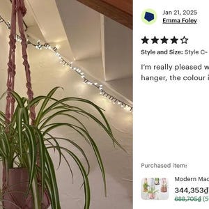 Modern Macrame Plant Hanger: Colorful Indoor Home Decor, Ivy Tree Pot Holder, Tropical Plant Pot Holder, Home Indoor Garden, Birthday Gift image 15