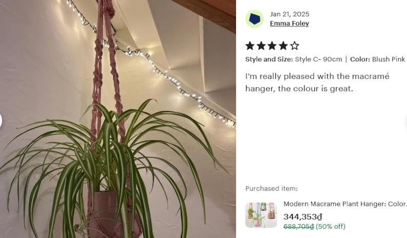 Modern Macrame Plant Hanger: Colorful Indoor Home Decor, Ivy Tree Pot Holder, Tropical Plant Pot Holder, Home Indoor Garden, Birthday Gift image 15