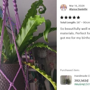Minimalist Macrame Plant Hanger: Boho Hanging Planter, No Tassel, Macrame Plant Pot Holder Without Tail, Simple Minimalist Boho Decor immagine 15