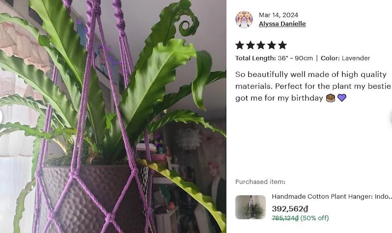 Minimalist Macrame Plant Hanger: Boho Hanging Planter, No Tassel, Macrame Plant Pot Holder Without Tail, Simple Minimalist Boho Decor immagine 15