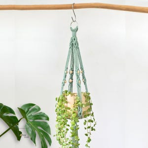 May include: A sage green macrame plant hanger featuring intricate knotted cord patterns and small natural wooden beads. The hanger supports a light-coloured ceramic pot containing a trailing green plant with small, rounded leaves.